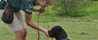 Animal Care volunteer training a dog while she works with animals in Argentina Projects Abroad volunteer helps with dog training during her Animal Care work in Argentina